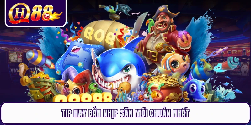 Tip hay bắn nhịp săn mồi chuản nhất