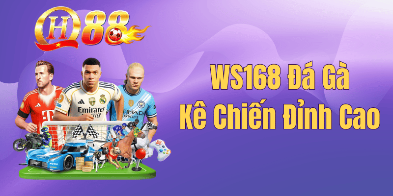 Sảnh WS168 Đá Gà QH88 – Điểm Hẹn Trực Tiếp Kê Chiến Đỉnh Cao 2026